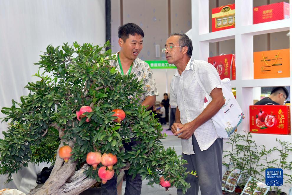 百老汇真人注册